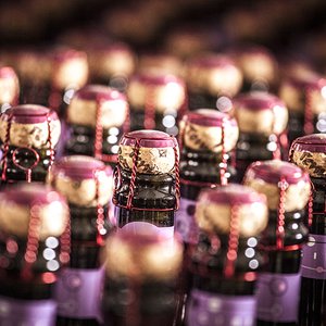 Il tratto che ci unisce. L’Emilia-Romagna al Vinitaly